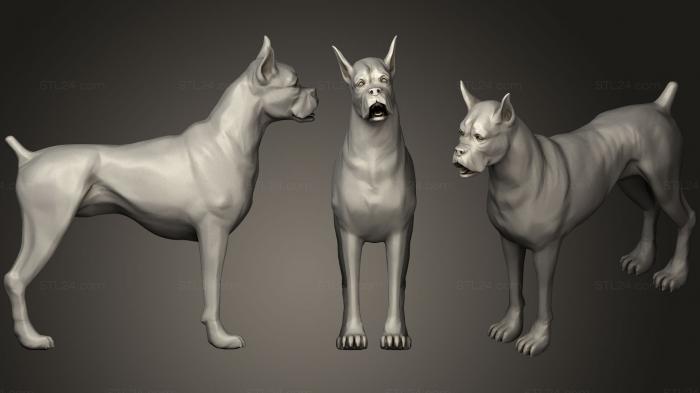 Статуэтки животных (Собака Боксер D, STKJ_0888) 3D модель для ЧПУ станка